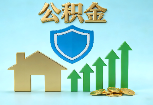 黑河当前住房公积金提取条件分类指南与政策趋势